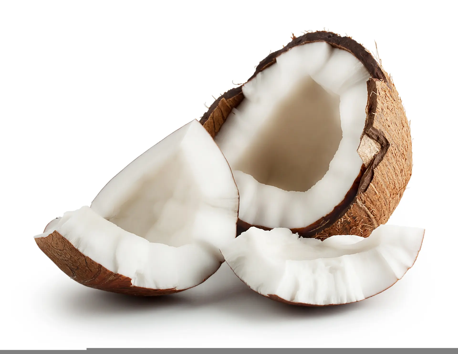 Desiccated Coconut Grades and Uses for Food Manufacturers Featured Image