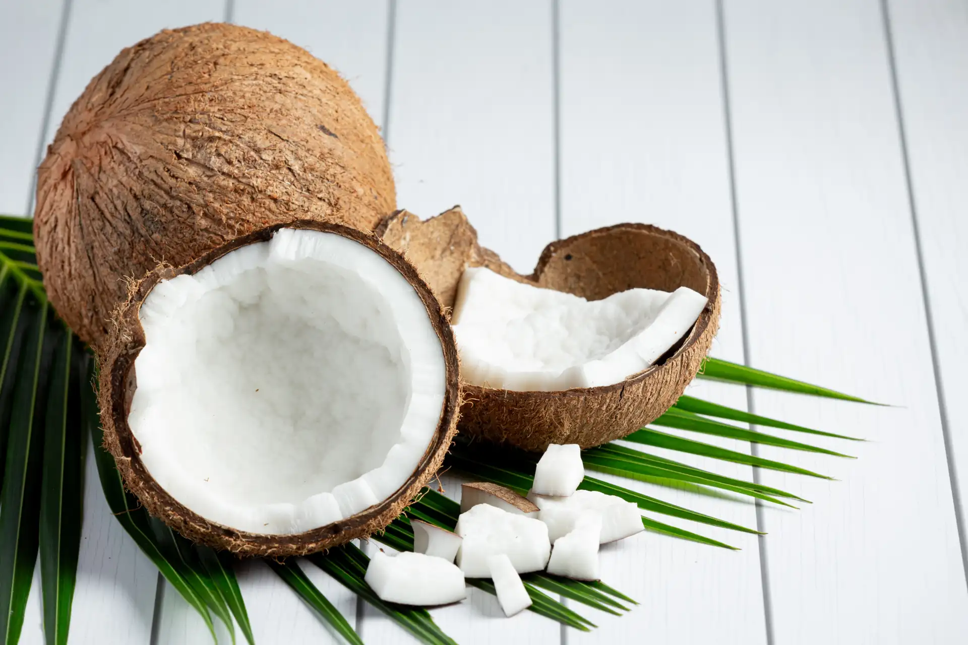 How Coconut Products Are Made for Export Quality Featured Image