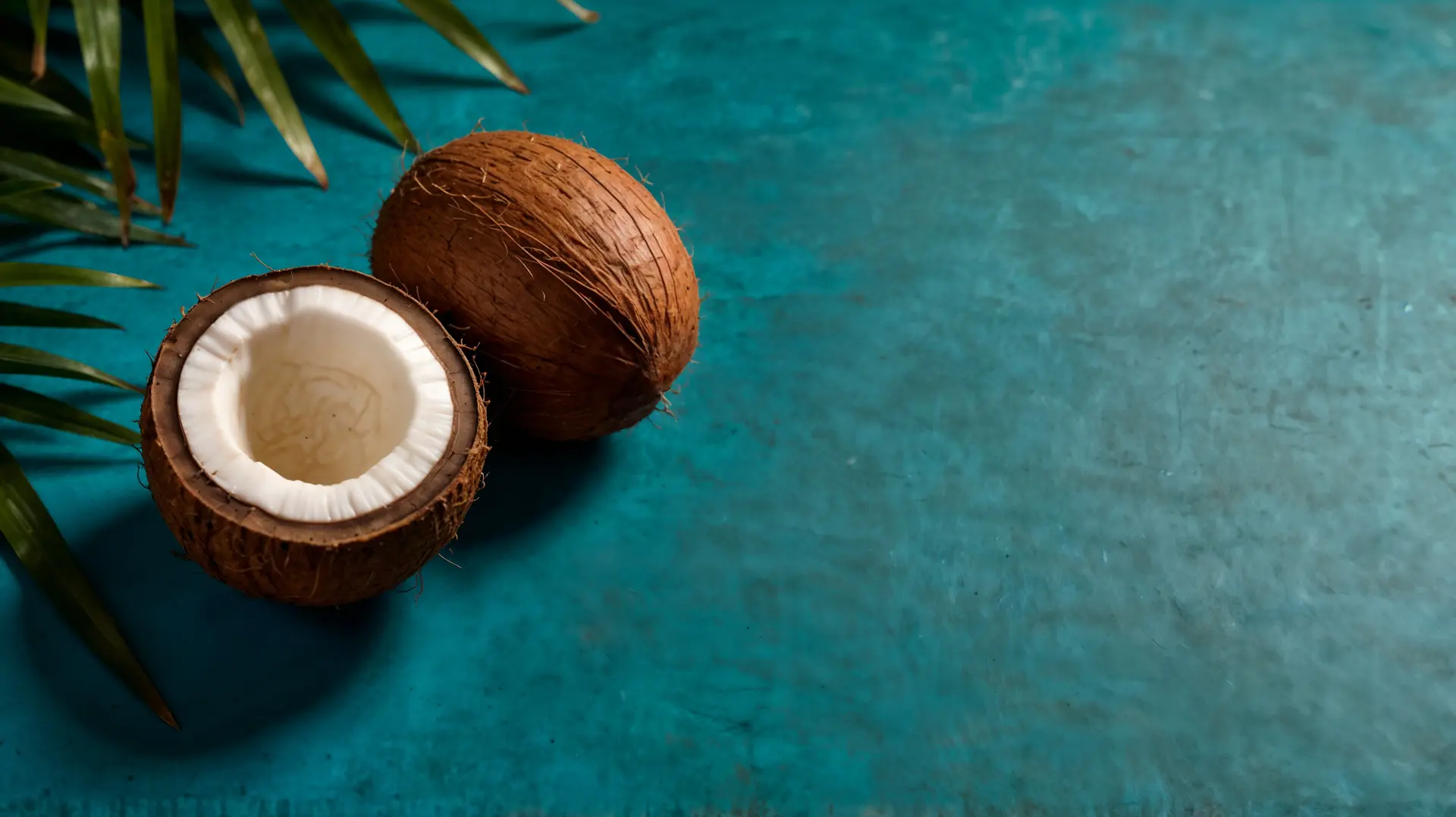 Private Label Coconut Products Featured Image